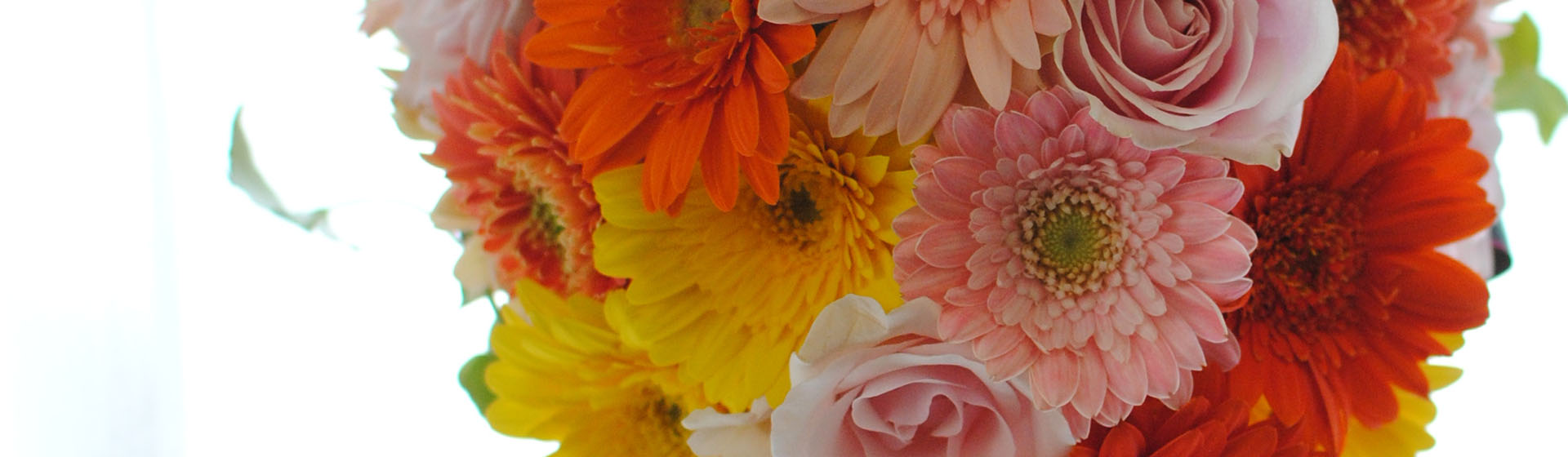 プリザーブドフラワー